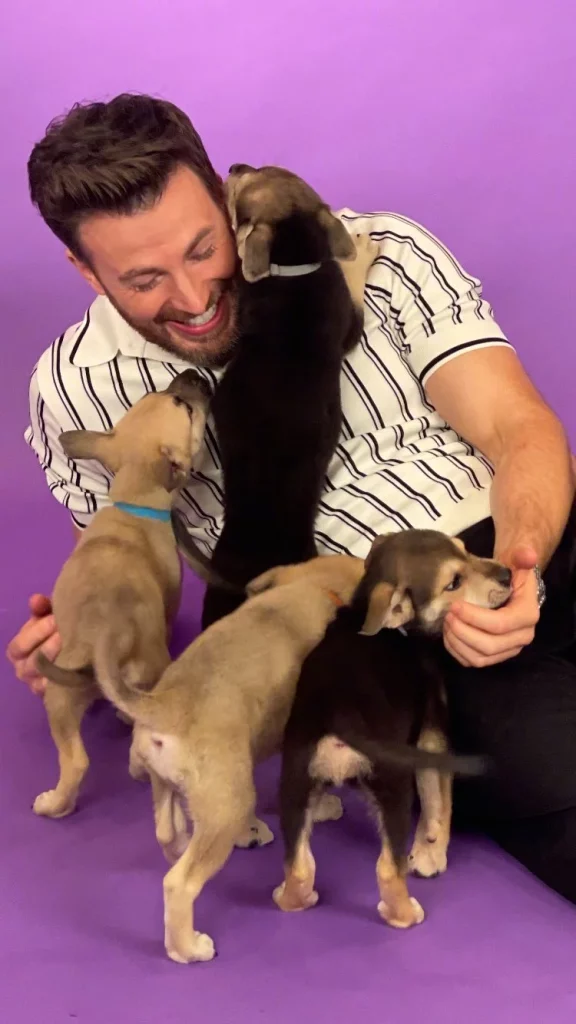 Chris Evans on the show and puppy play footage