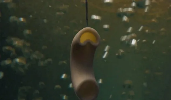 "Everything Everywhere All at Once" Exposes Special Feature 'Spaghetti Baby Noodle Boy' | FMV6