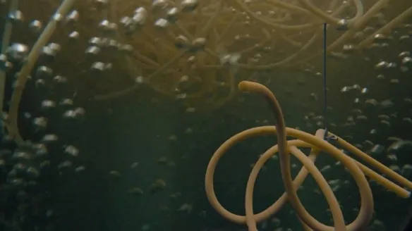 "Everything Everywhere All at Once" Exposes Special Feature 'Spaghetti Baby Noodle Boy' | FMV6