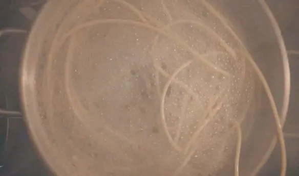 "Everything Everywhere All at Once" Exposes Special Feature 'Spaghetti Baby Noodle Boy' | FMV6