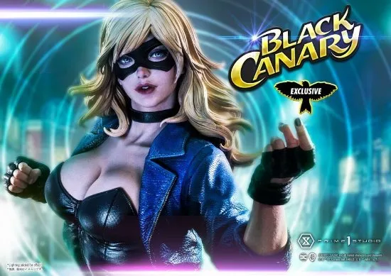 DC 'Black Canary‎' filming normally, unaffected by the cancellation of 'Batgirl' | FMV6