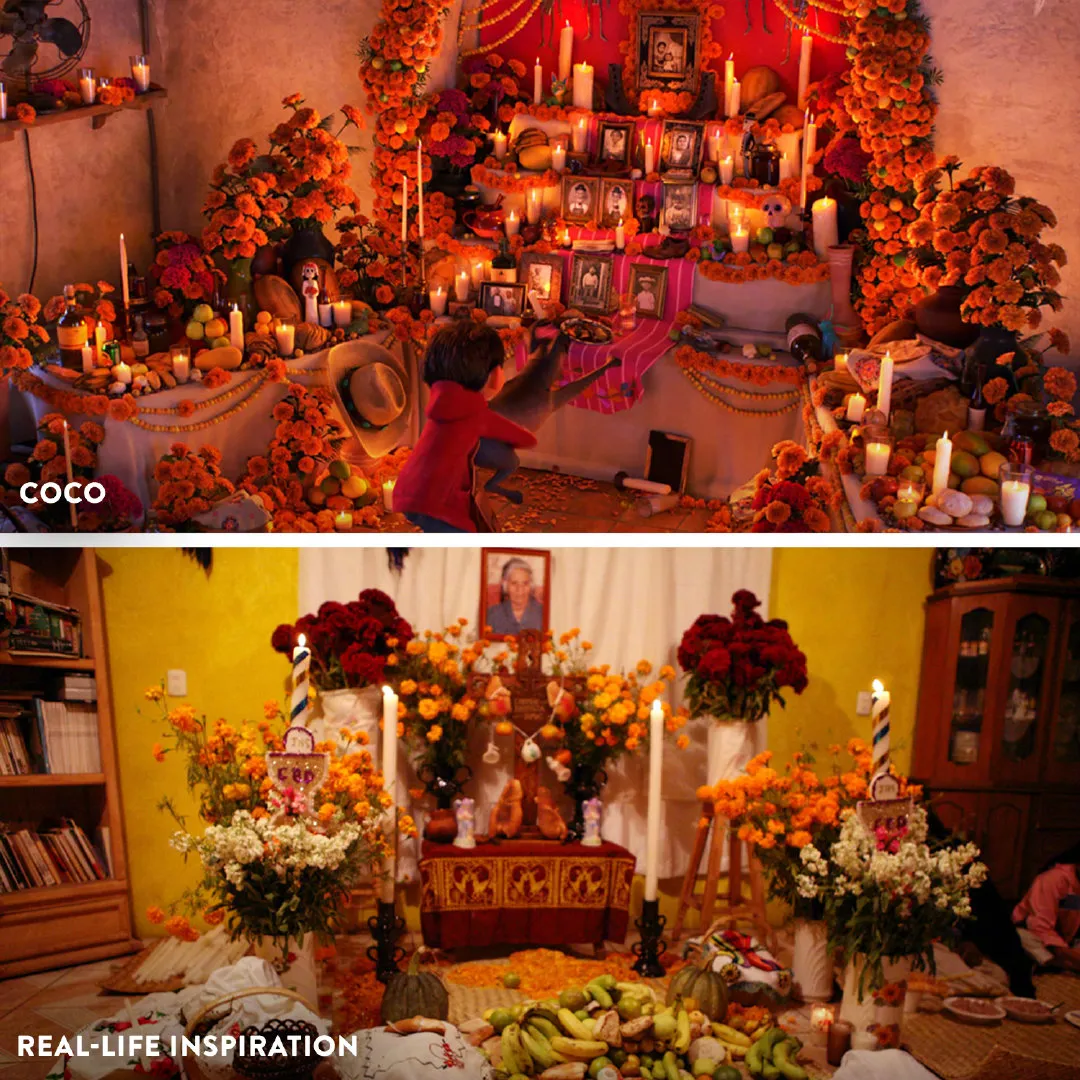 Disney Shares 'Coco', 'Luca‎', 'Up‎', 'Finding Nemo‎' Animated Pictures and Comparison of Real Scenes | FMV6