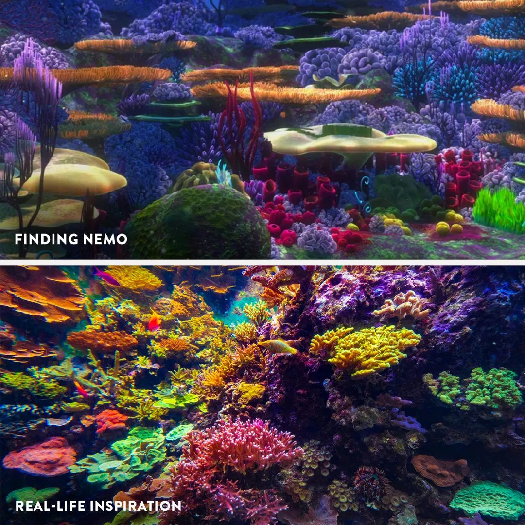 Disney Shares 'Coco', 'Luca‎', 'Up‎', 'Finding Nemo‎' Animated Pictures and Comparison of Real Scenes | FMV6