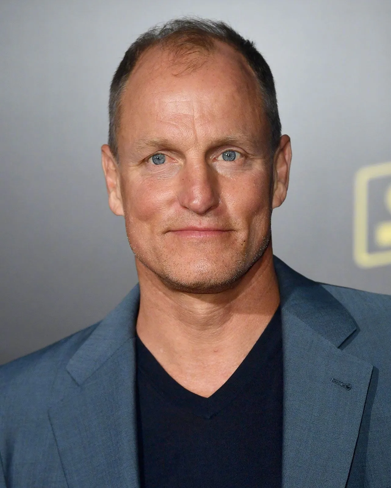 Laura Linney, Woody Harrelson, Nico Parker to star in new film 'Suncoast' | FMV6
