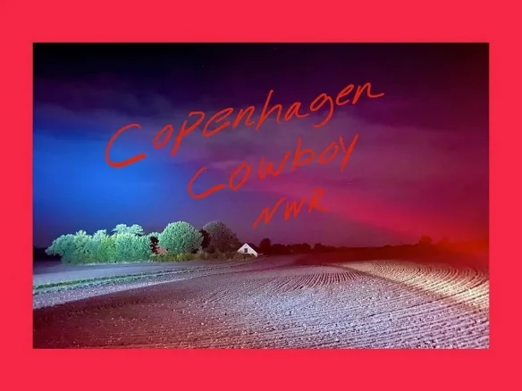 Nicolas Winding Refn's new drama "Copenhagen Cowboy‎" release Trailer,launches on September 9th | FMV6