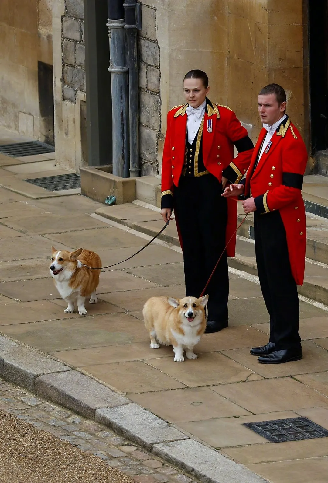 The Queen's Funeral: 'The Queen's Corgi‎' come to say goodbye to her | FMV6