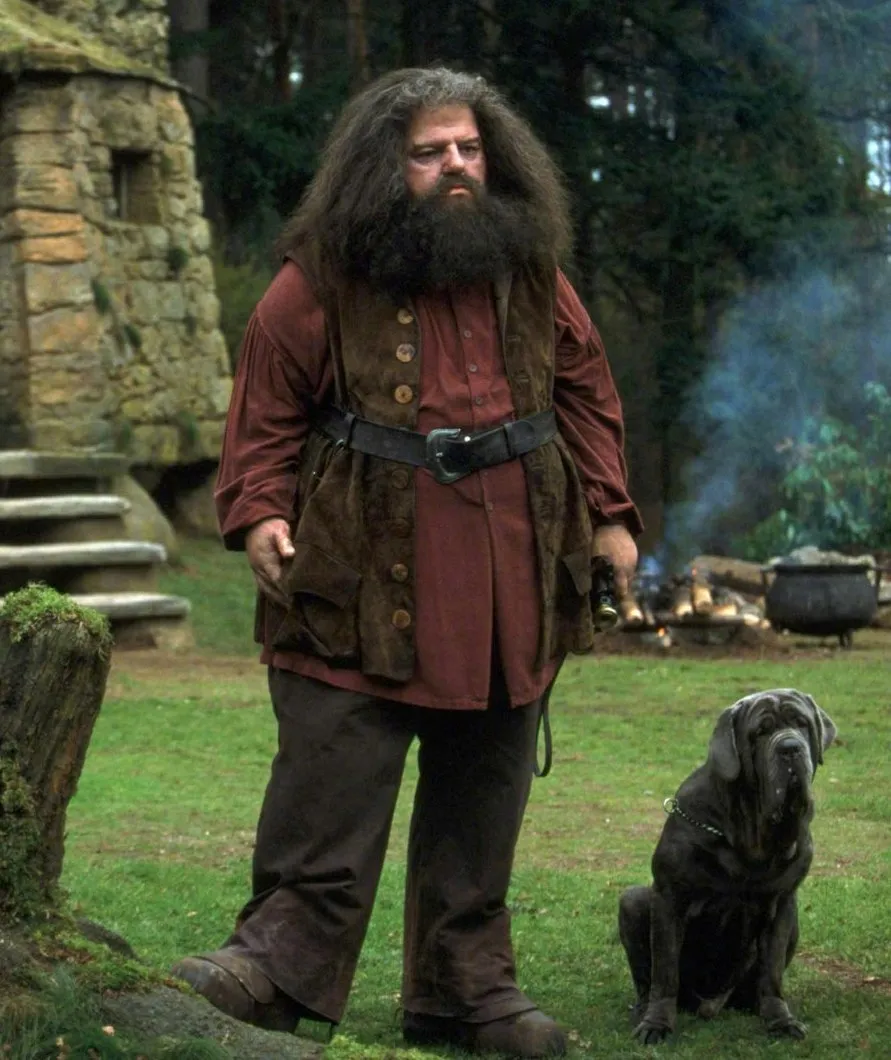 'Harry Potter' Rubeus Hagrid actor Robbie Coltrane dies at 72 | FMV6
