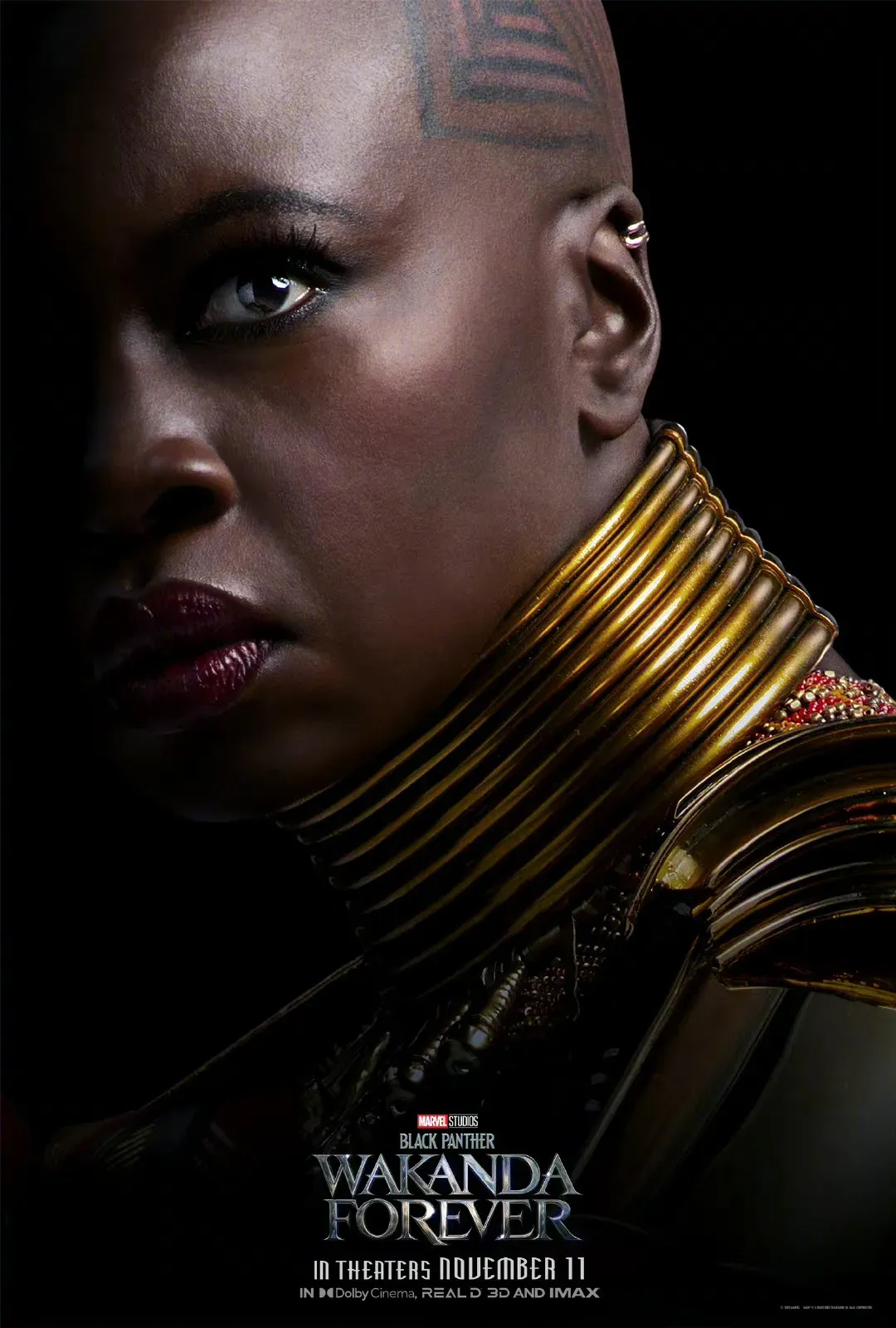 Marvel's New Film "Black Panther : Wakanda Forever" Releases Multiple Character Posters | FMV6