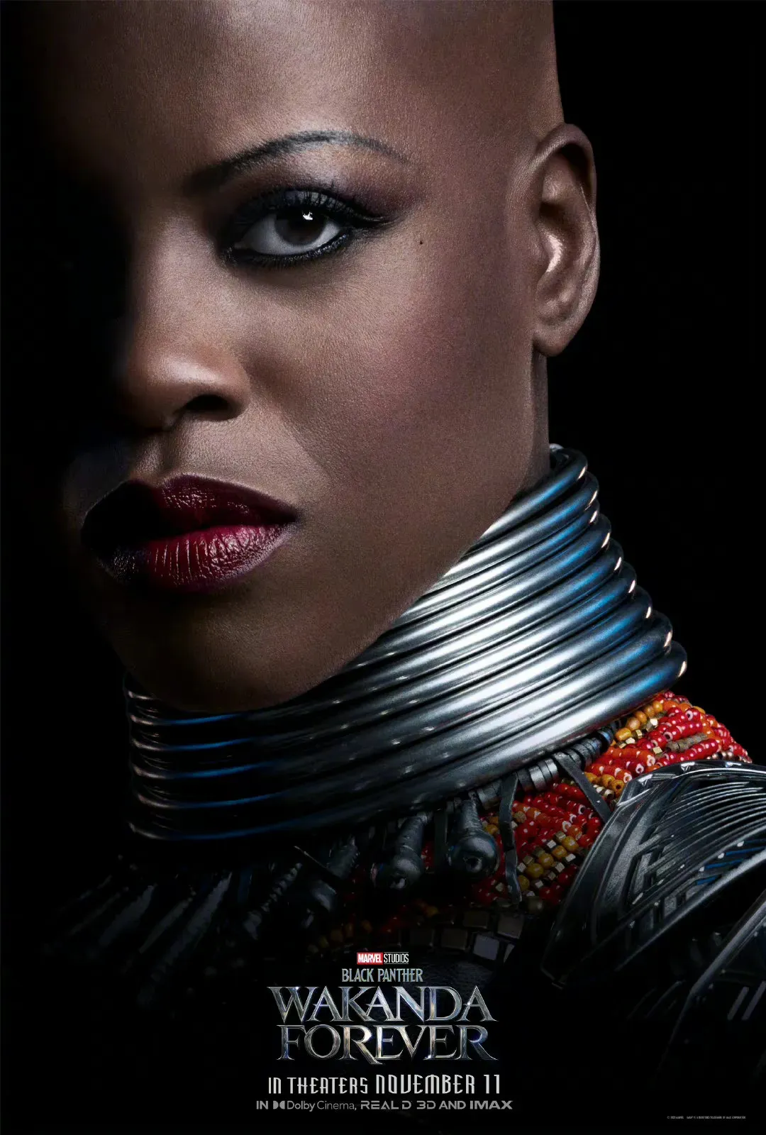 Marvel's New Film "Black Panther : Wakanda Forever" Releases Multiple Character Posters | FMV6