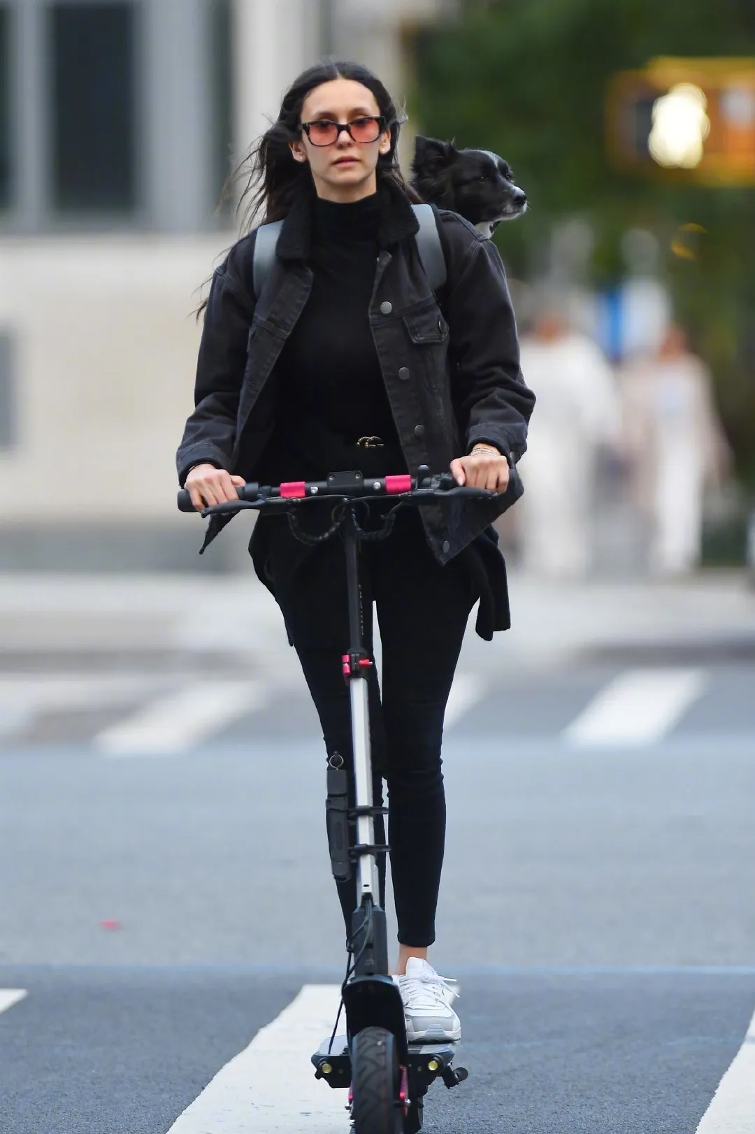 Nina Dobrev rides her bikes and walks her dog | FMV6