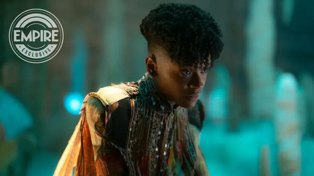 'Black Panther : Wakanda Forever' is No. 3 at the Northern America box office this year | FMV6