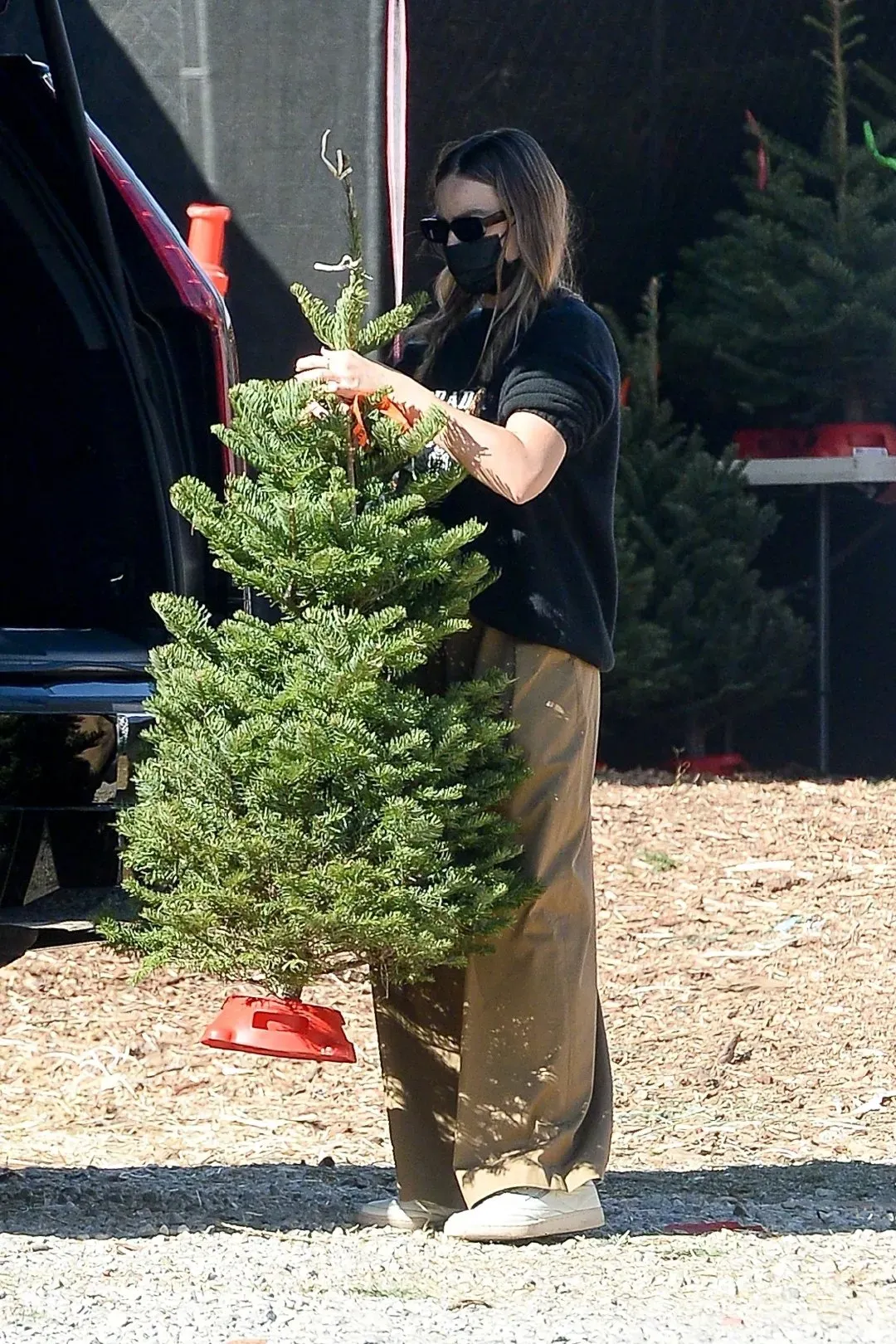 Picture of Margot Robbie and husband Tom Ackerley buying a Christmas tree | FMV6
