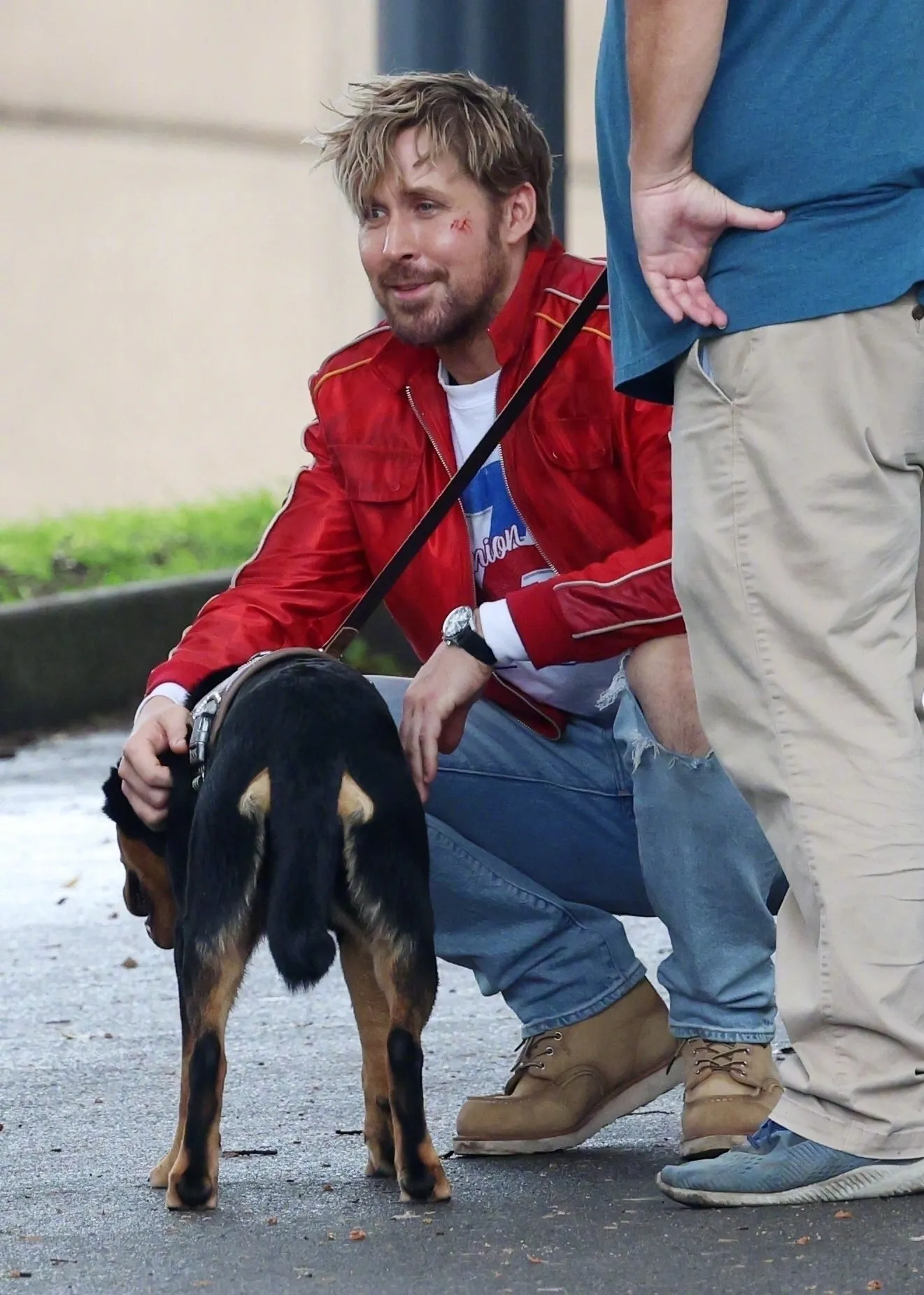 'The Fall Guy' New Live Photos, Ryan Gosling & Stephanie Hsu Walking the Dog | FMV6