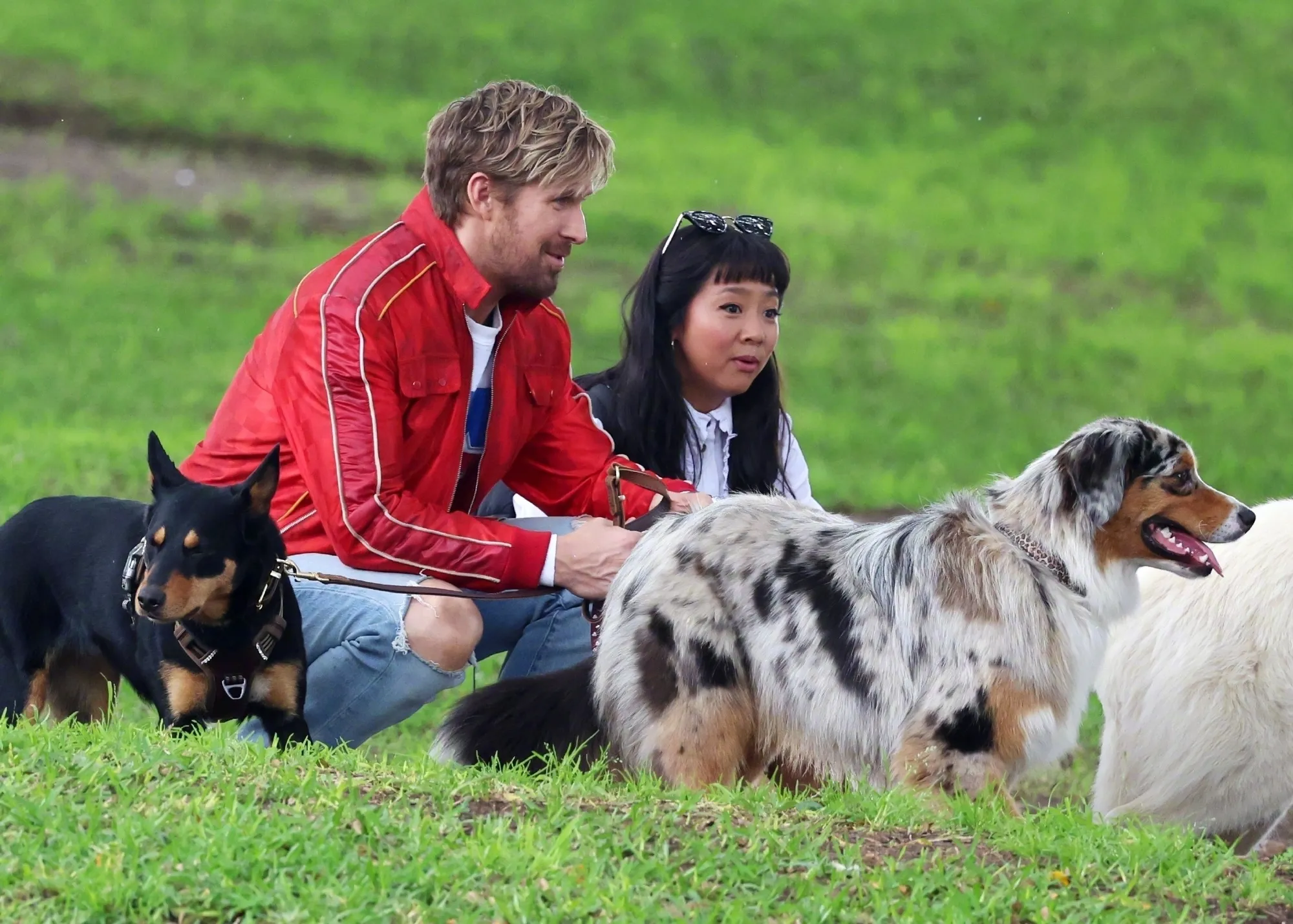 'The Fall Guy' New Live Photos, Ryan Gosling & Stephanie Hsu Walking the Dog | FMV6