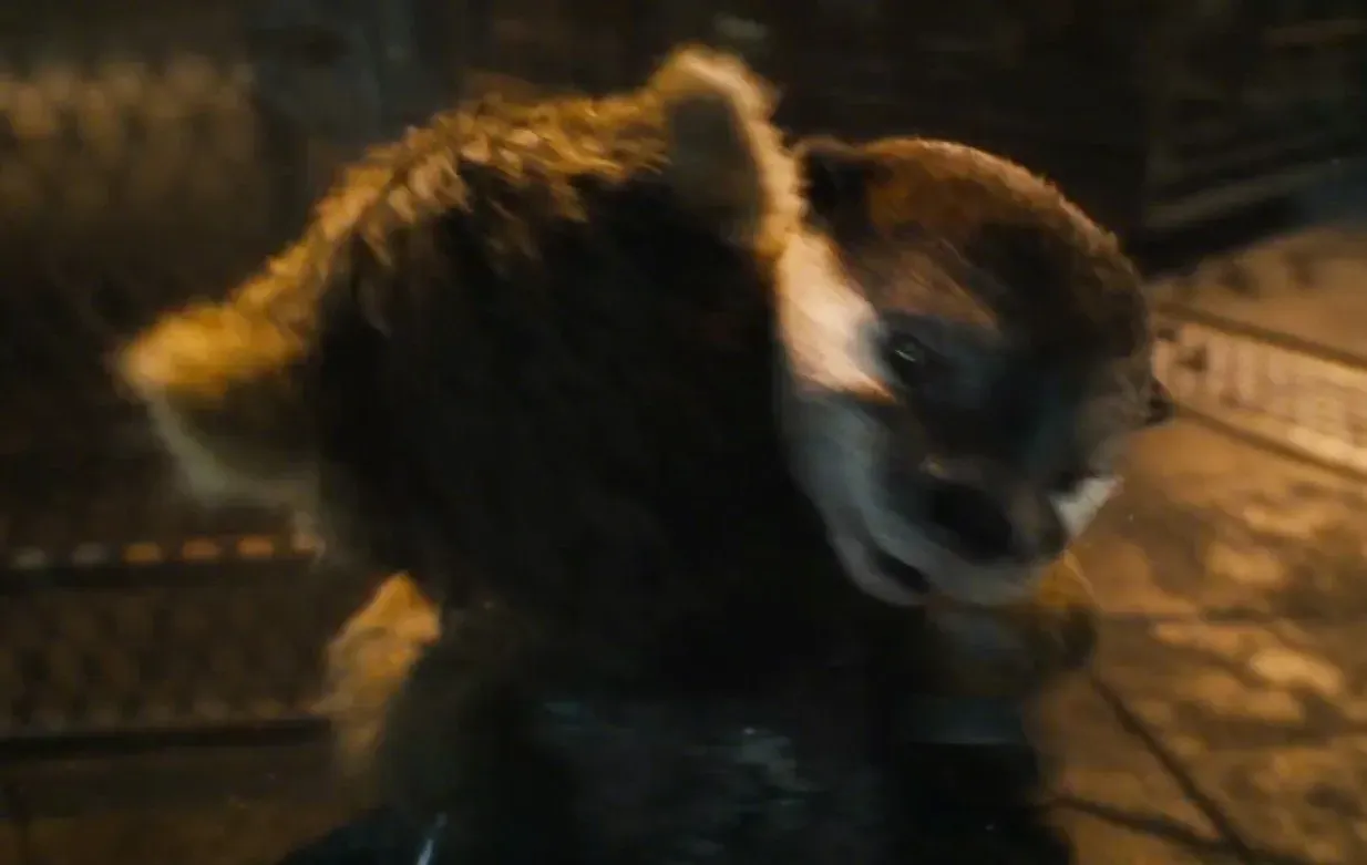 Rocket Raccoon cuddles with Lylla the otter in 'Guardians of the Galaxy Vol. 3' trailer | FMV6