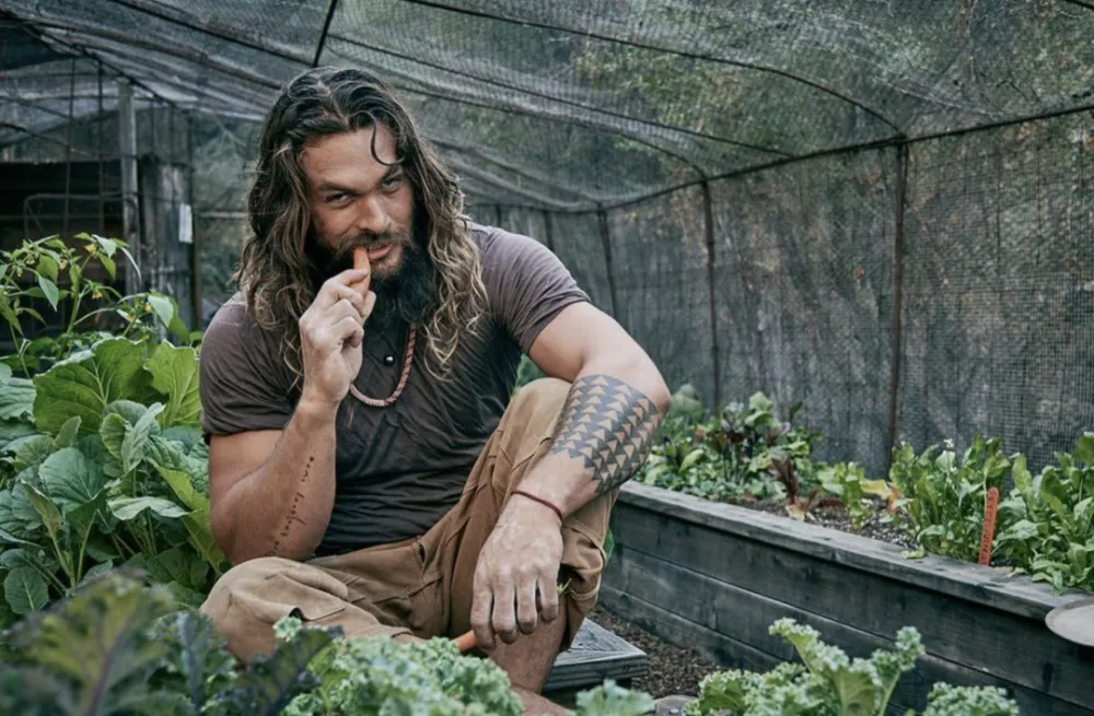 DC 'Aquaman' actor Jason Momoa gets scolded by his fans for a social post in support of 'The Flash'! | FMV6