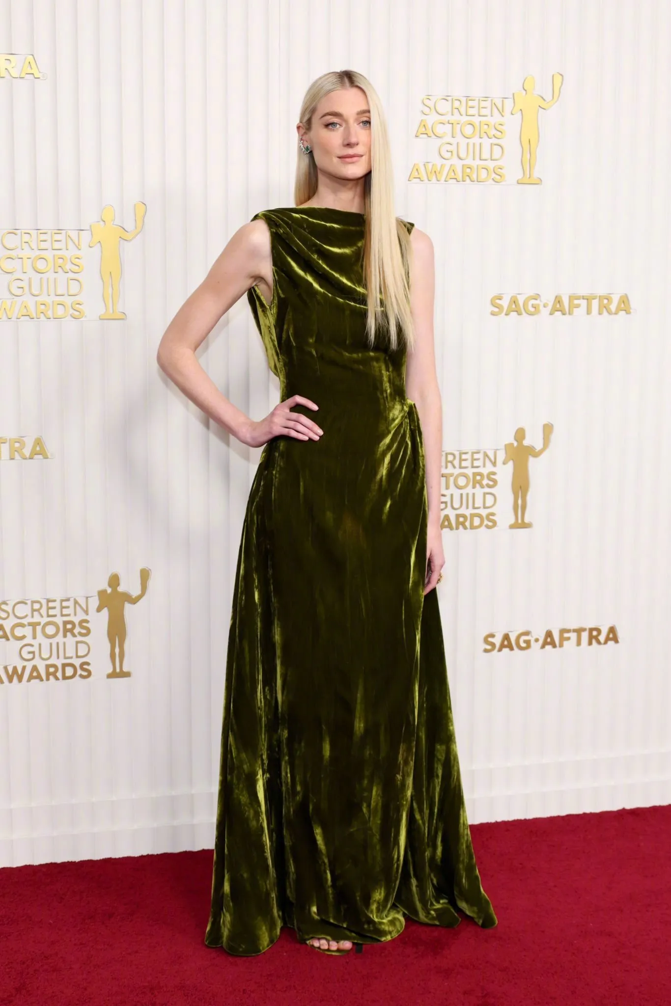 Elizabeth Debicki attends 2023 Screen Actors Guild Awards red carpet | FMV6
