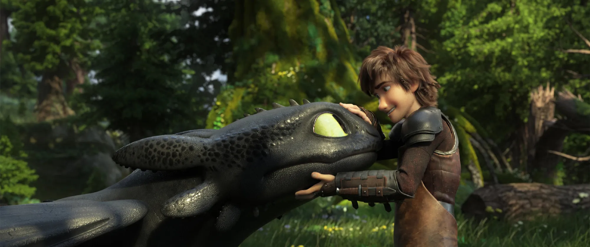'How to Train Your Dragon': Hit Animated Series Announces Live-Action Film, Set for March 14, 2025, in Northern America | FMV6