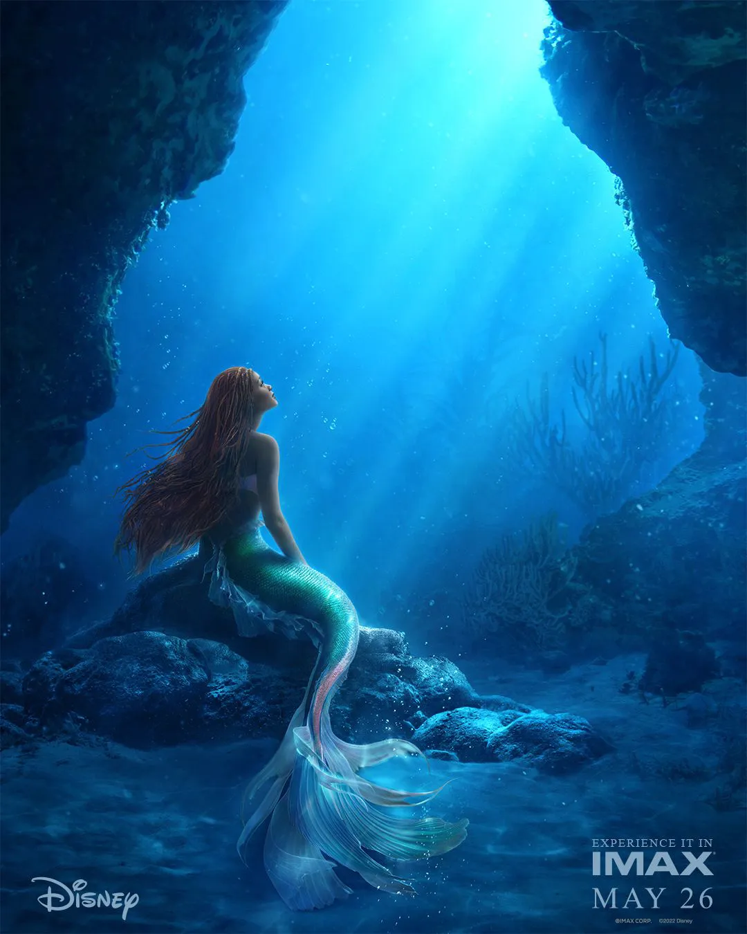 Live-action version of 'The Little Mermaid' revealed: it will be completed in March and will be released in May | FMV6