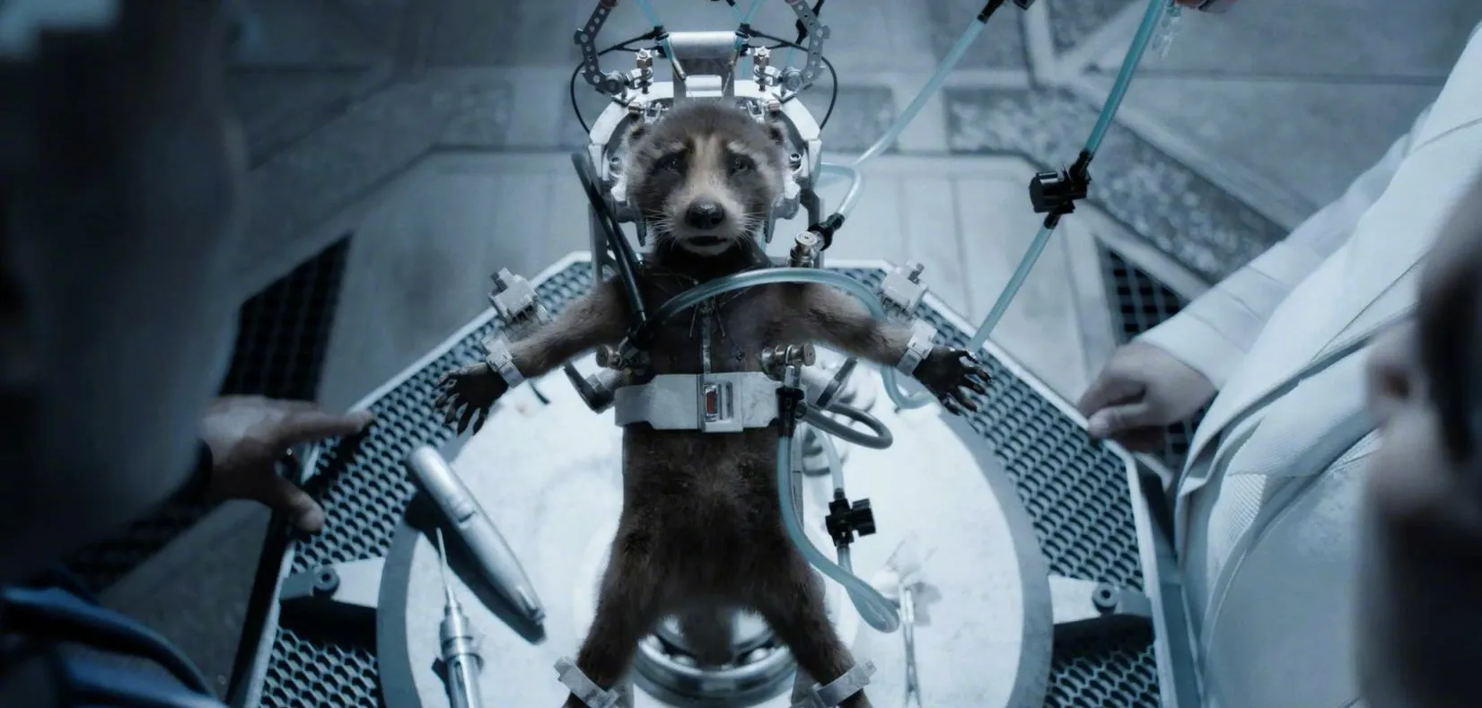 New trailer for 'Guardians of the Galaxy Vol.3': Rocket Raccoon's past is so miserable | FMV6