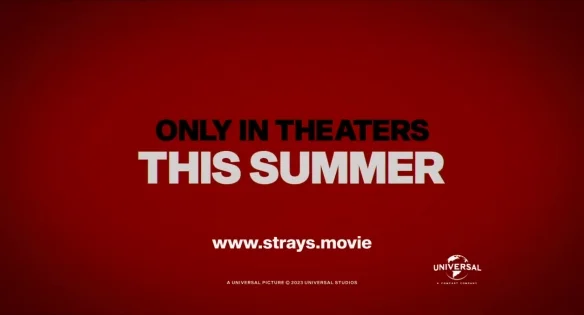 R-Rated Comedy 'Strays' Releases Official Trailer and Poster | FMV6